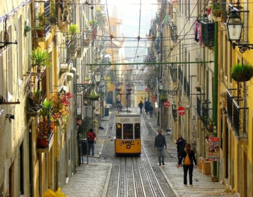Apartamento Amalia Lisboa